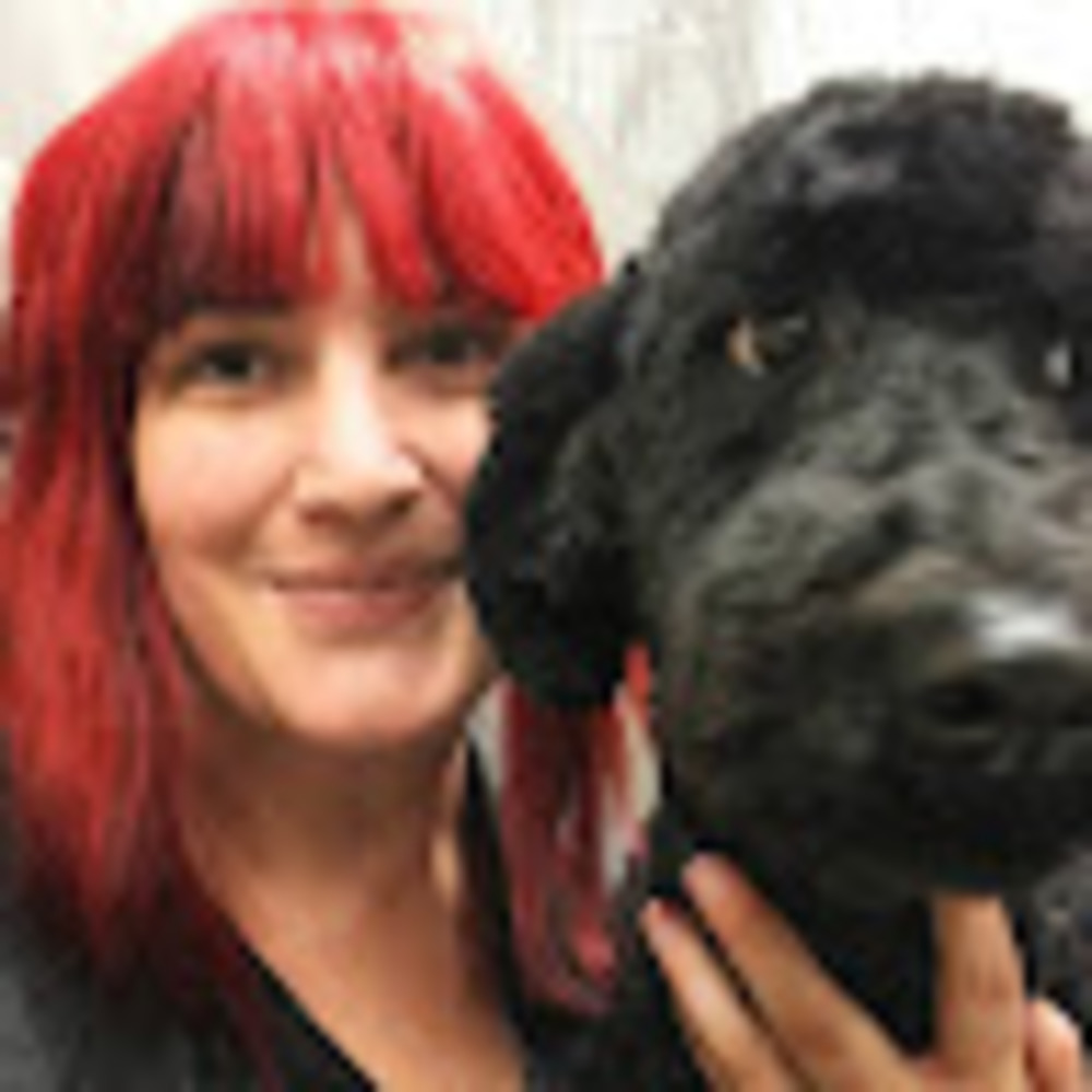 Meet your Posher, Katie